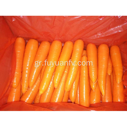 Φρέσκα καρότα μικρού μεγέθους